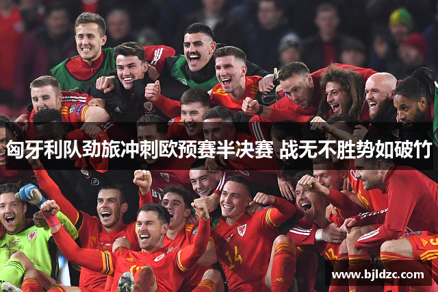 匈牙利队劲旅冲刺欧预赛半决赛 战无不胜势如破竹
